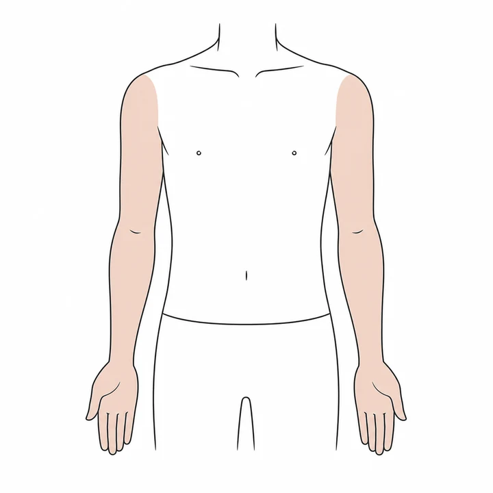 両ウデ脱毛の施術範囲